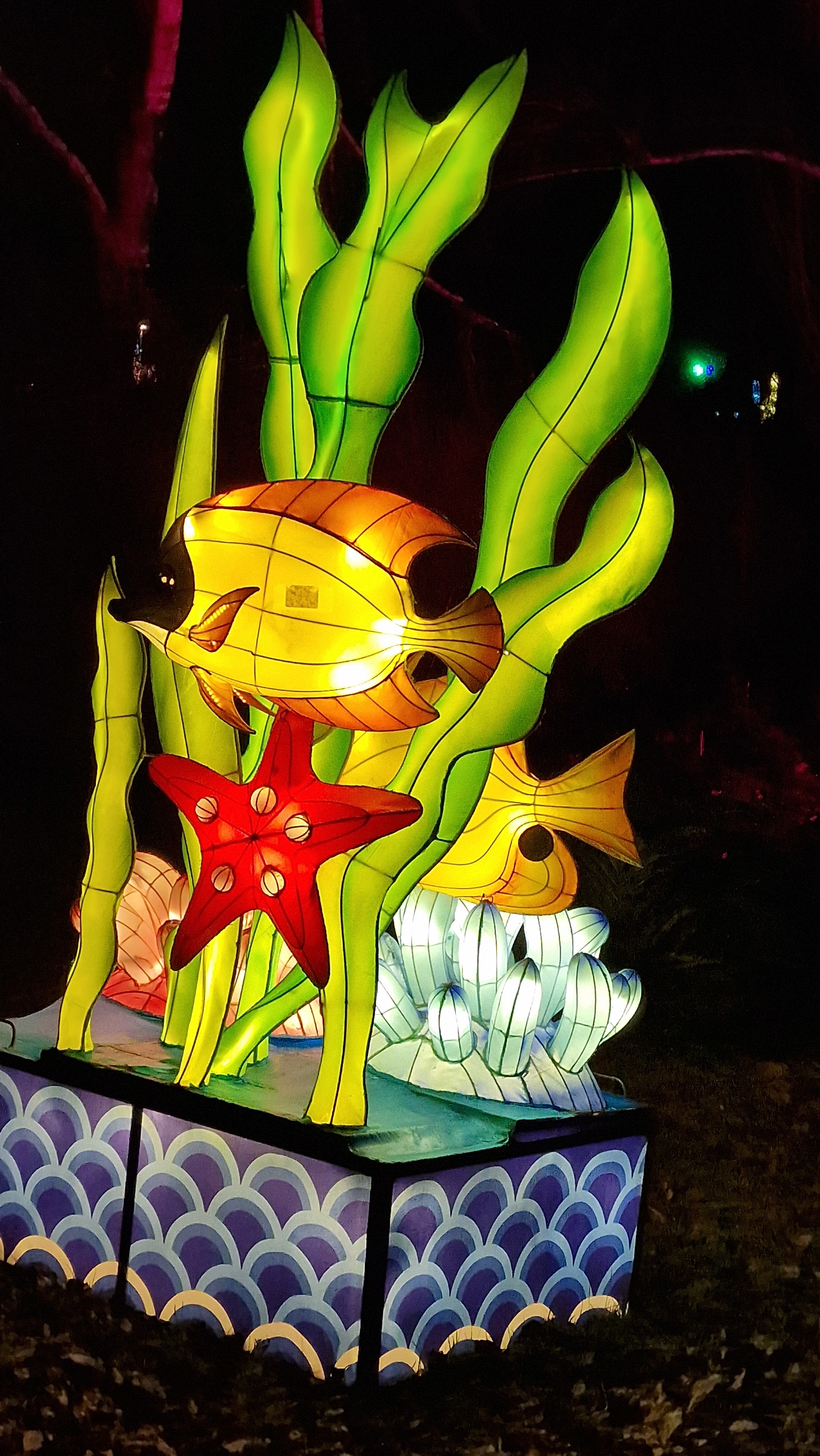 Photo n° 4 de l'avis de Marie.i fait le 29/12/2023 à 15:13