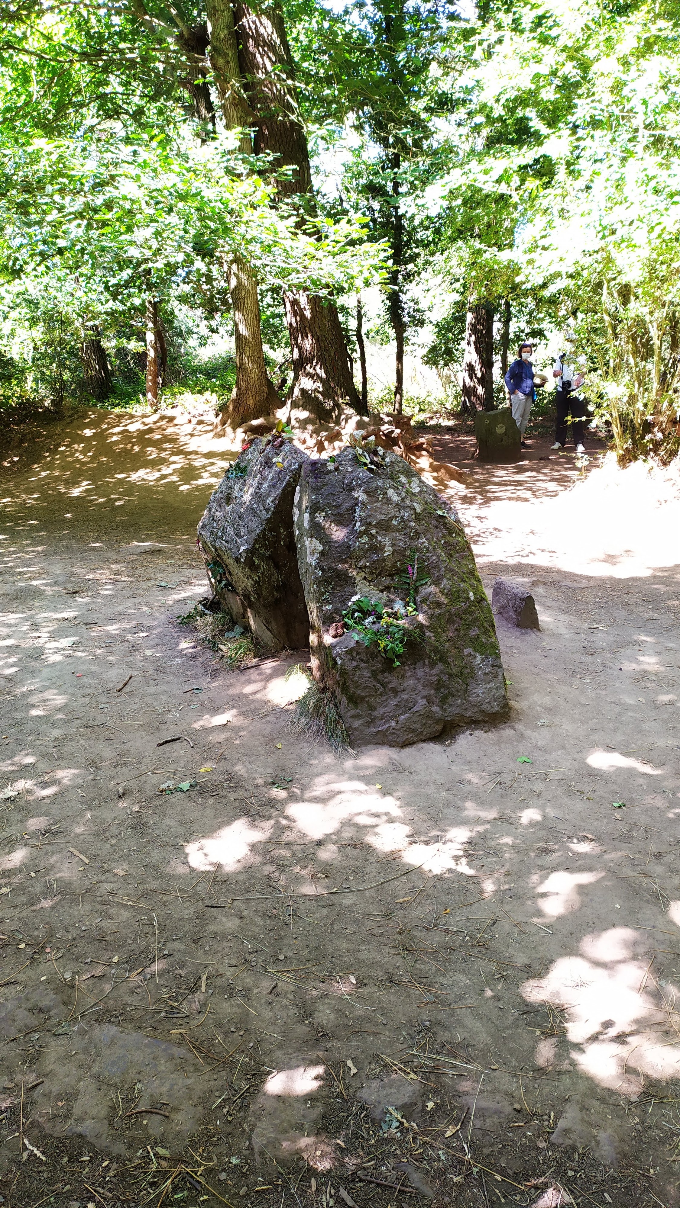 Photo n° 3 de l'avis de Didier.A fait le 30/08/2020 à 11:11