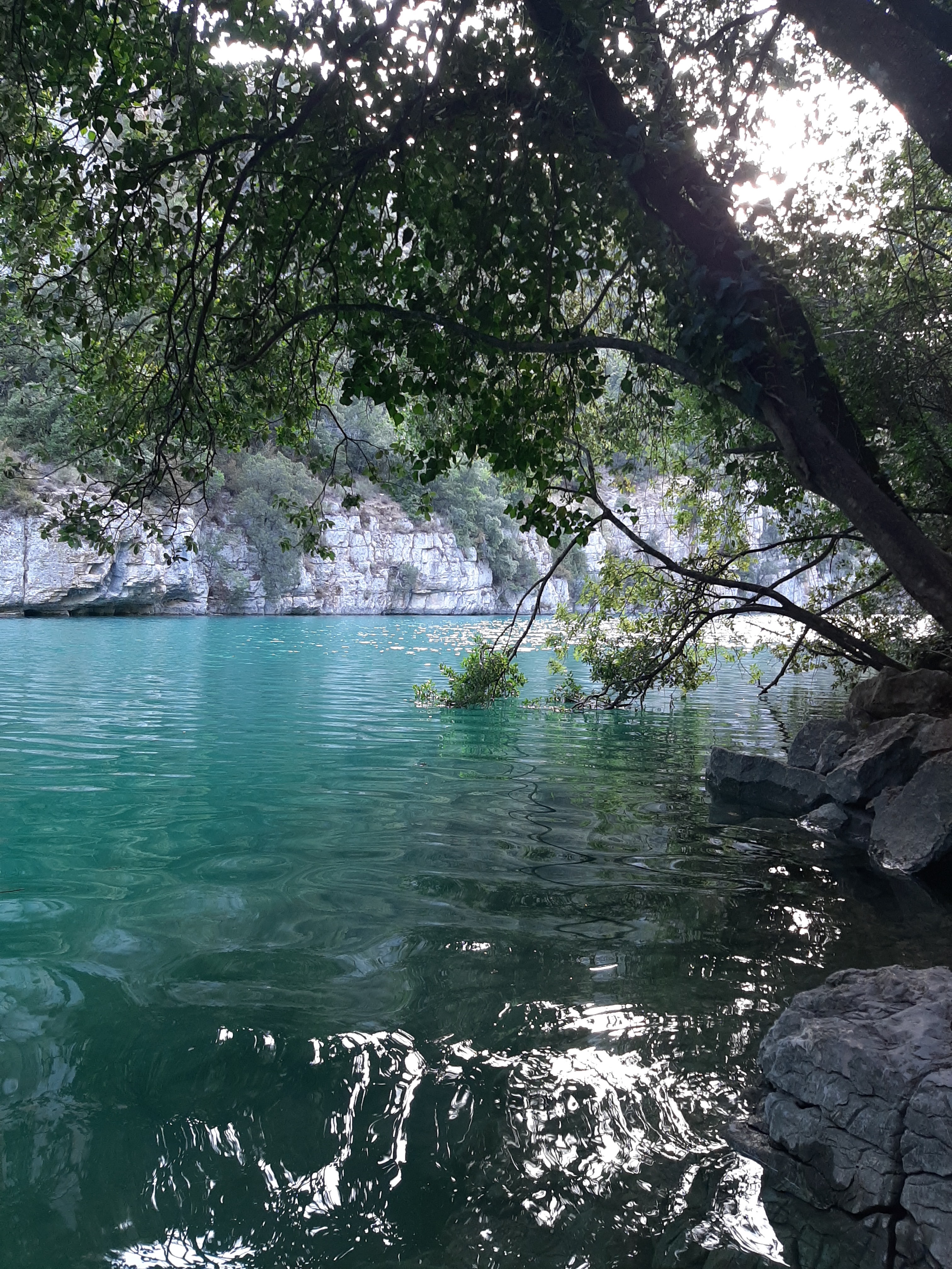 Photo n° 14 de l'avis de Laure.a fait le 17/10/2021 à 17:43