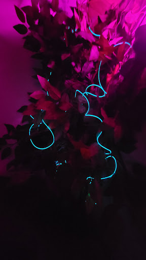 Lounge «205 Club», reviews and photos, 205 Chrystie St, New York, NY 10002, USA