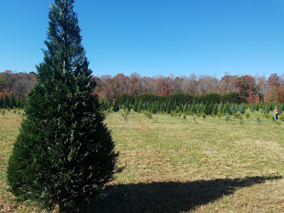 TNT Christmas Tree Farm