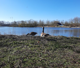 Uemminger See photo