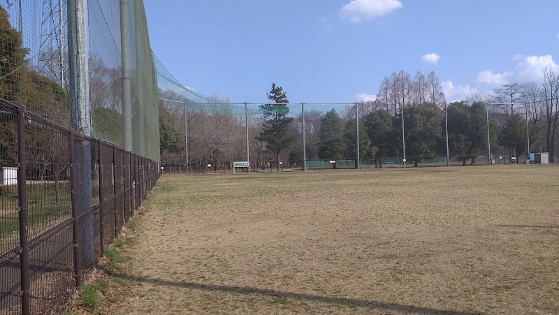 小金井公園 多目的運動広場 少年軟式野球場