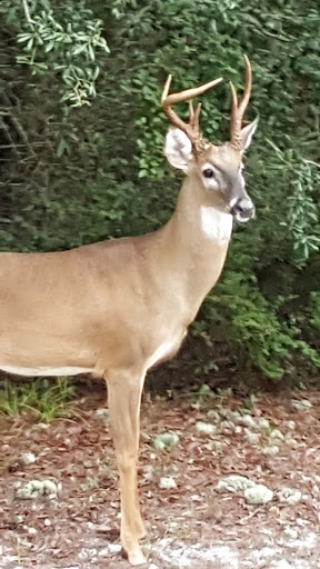 Nail Salon «Clix Hair & Nails-A Salon and Spa», reviews and photos, 105 W Chapman Rd, Oviedo, FL 32765, USA