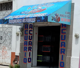 Aquatic Garden photo