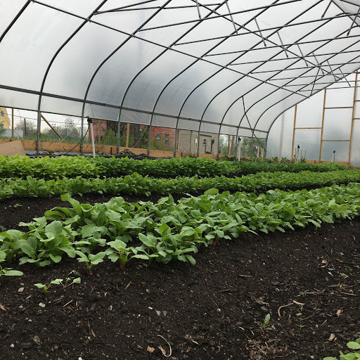 Coriander Kitchen and Farm Find Farm in El Paso Near Location