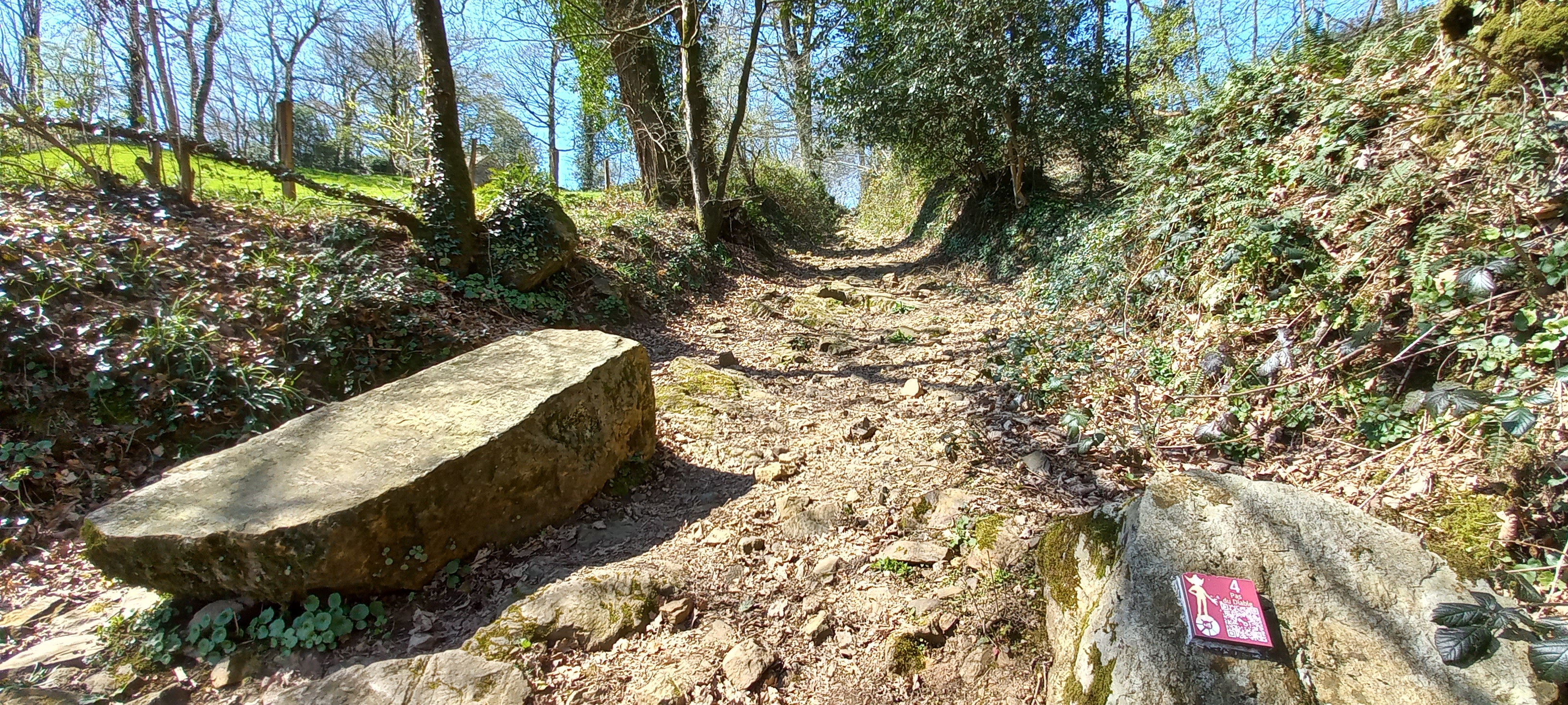 Photo n° 12 de l'avis de Françoise.o fait le 16/04/2023 à 15:18