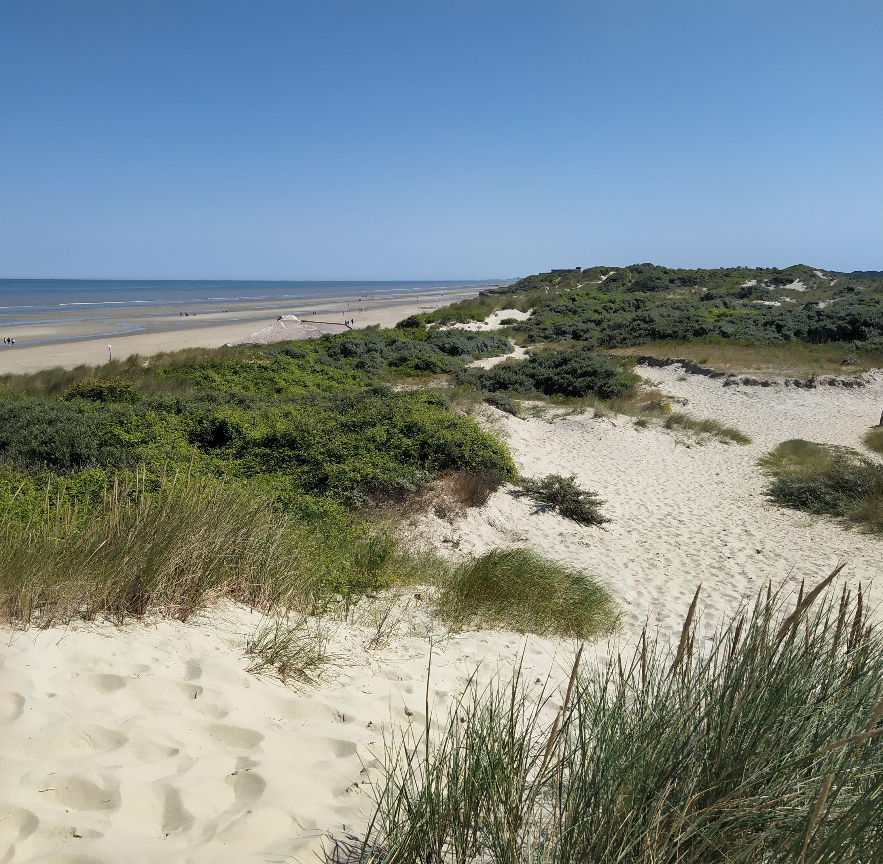 Photo n° 3 de l'avis de Alexandre.a fait le 20/07/2021 à 14:40