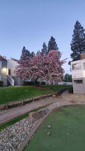 Montage at Fair Oaks Apartments image