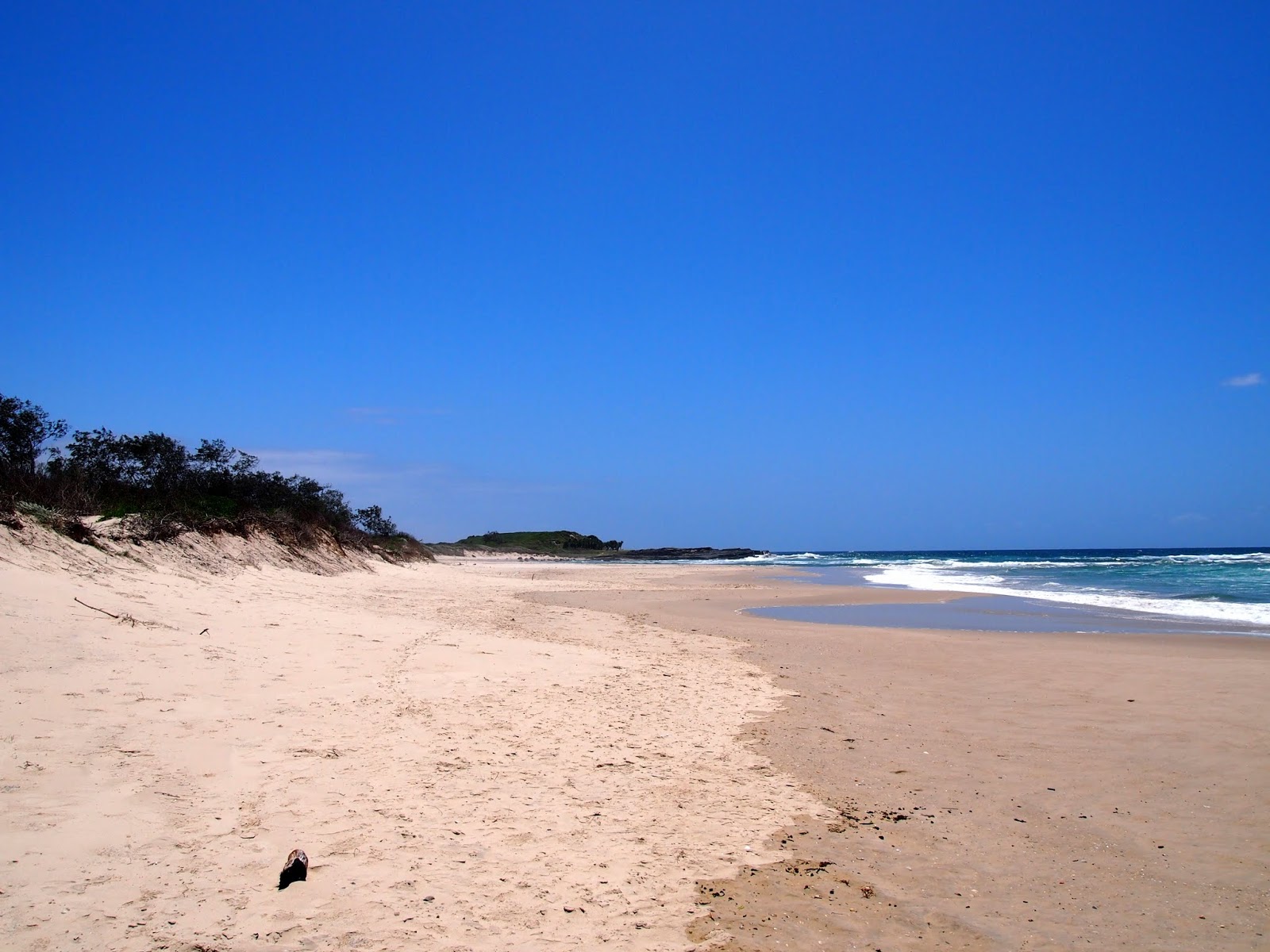 Bluff Beach的照片 位于自然区域