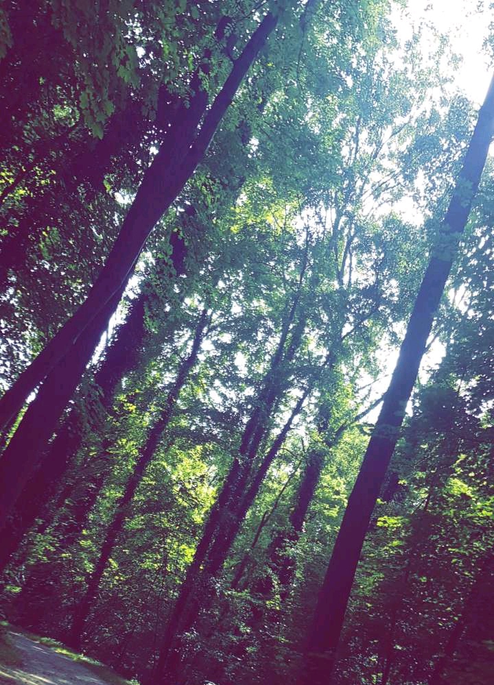 Photo n° 1 de l'avis de B.n fait le 24/06/2018 à 20:21