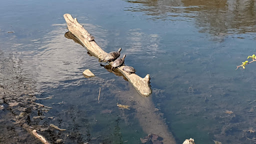 Park «Francis William Bird Park», reviews and photos, 251 Washington St, East Walpole, MA 02032, USA