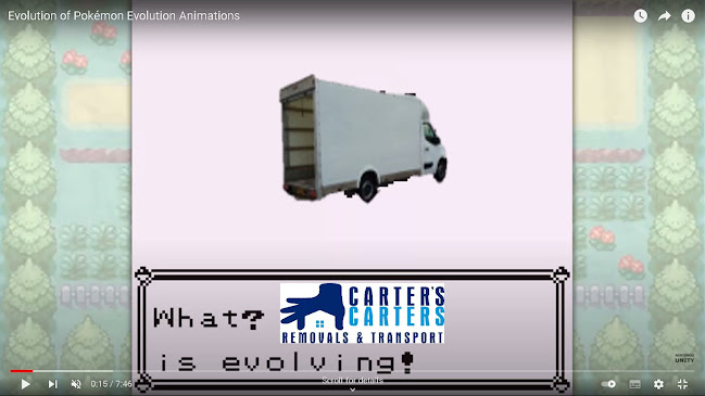 Reviews of Carter's Carters removals in Newport - Moving company