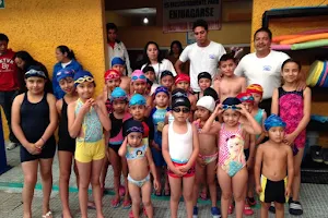 ESCUELA DE NATACION SOR JUANA image