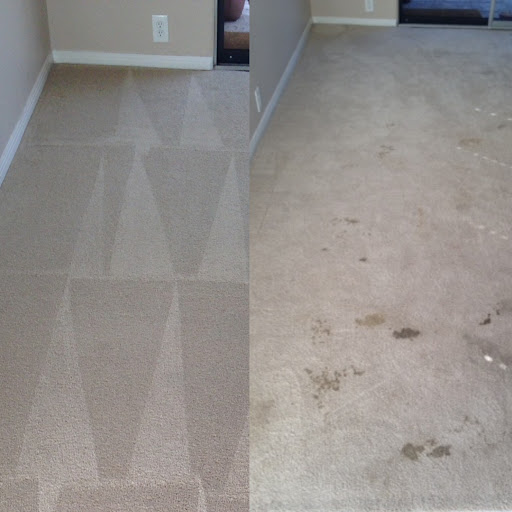 Los Angeles Carpet Cleaning image