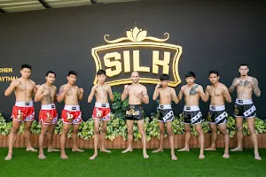 Silk Muay Thai image