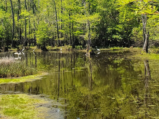 Golf Course «Witch Golf Links», reviews and photos, 1900 SC-544, Conway, SC 29526, USA