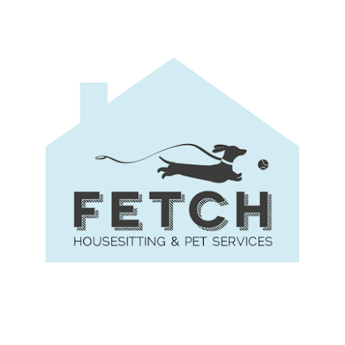 Reviews of Fetch Pets London in London - Dog trainer