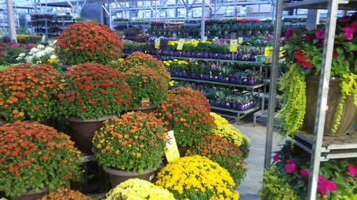 Home Improvement Store «The Home Depot», reviews and photos, 871 North Hwy 27, Lady Lake, FL 32159, USA