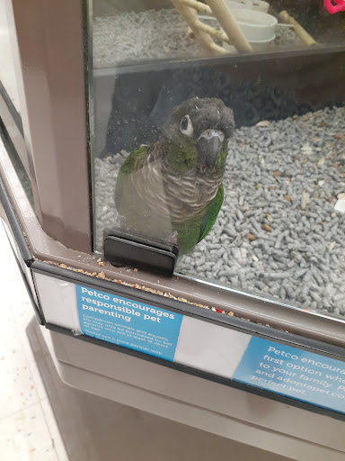 Pet Supply Store «Petco Animal Supplies», reviews and photos, 2765 Papermill Rd G-1, Reading, PA 19610, USA