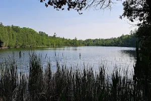 Crawford Lake image