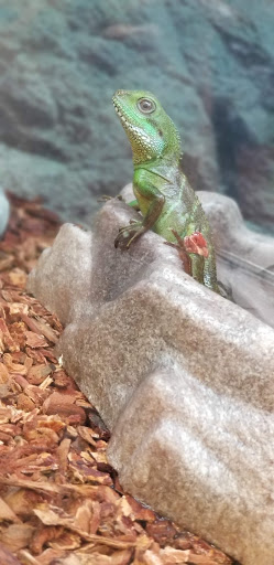 Pet Supply Store «Petco Animal Supplies», reviews and photos, 210 Nut Tree Pkwy, Vacaville, CA 95687, USA