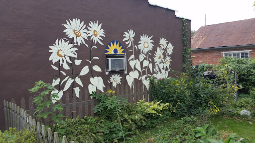 Comic Book Store «Beyond Comics», reviews and photos, 207 S Princess St, Shepherdstown, WV 25443, USA