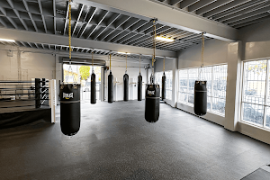 Gopa Boxing Club image