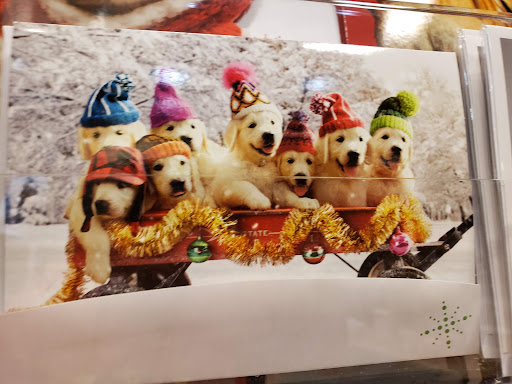 Book Store «Barnes & Noble», reviews and photos, 14790 Greyhound Plaza, Carmel, IN 46032, USA