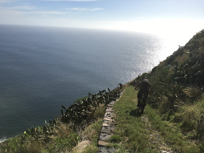 Bikebus Madeira - Agência de viagens