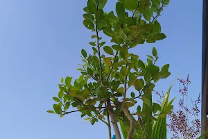 Rajratna Nagar Garden image