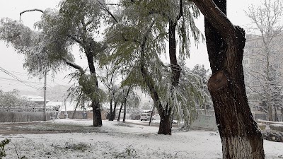 Photos of Parcul Zaikin