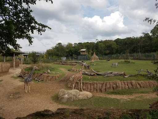 Zoo «Dallas Zoo», reviews and photos, 650 S R.L. Thornton Fwy, Dallas, TX 75203, USA