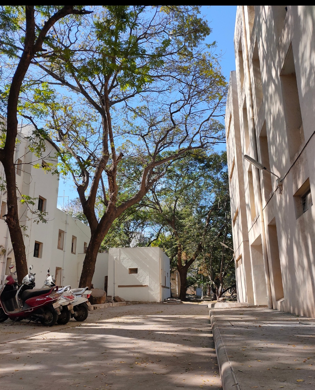 Intern Hostel