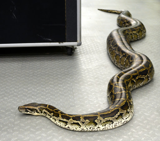 Pet Store «B & B Pet Stop, Inc.», reviews and photos, 5035 Cottage Hill Rd, Mobile, AL 36609, USA