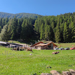 Photo n°3 de l'avis de Daniele.r fait le 10/09/2023 à 15:01 sur le  Malga Fratte Val di Rabbi à Rabbi