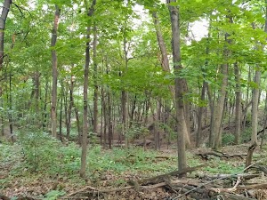 Northwest Park - photo 36