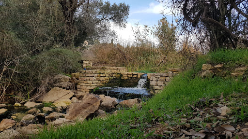 Natural parks nearby Jerusalem