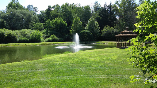 Vegetation «Creekside Grove», reviews and photos, PA-374, Nicholson, PA 18446, USA