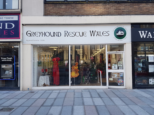 Greyhound Rescue Wales