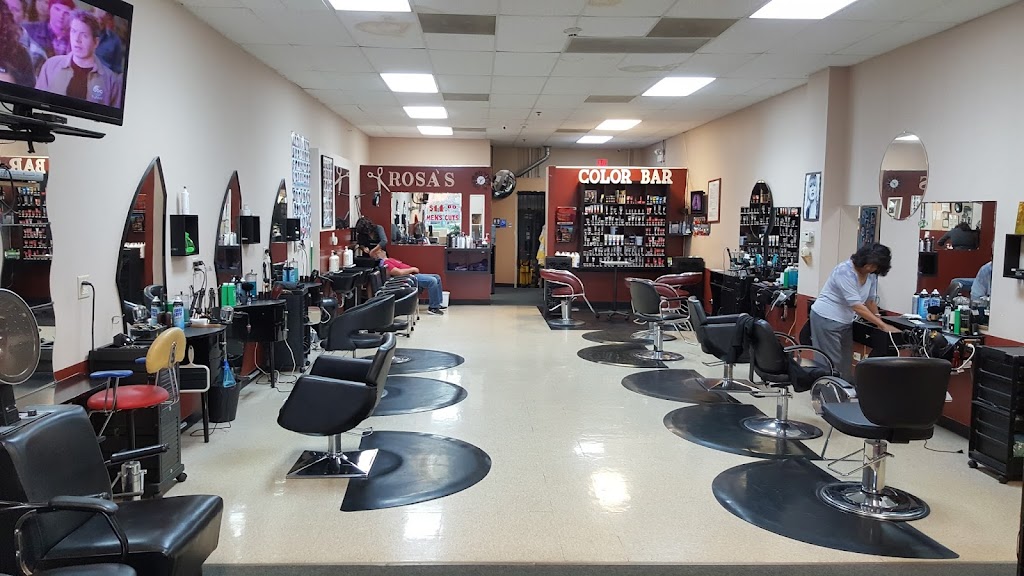 Rosa Salon 60446