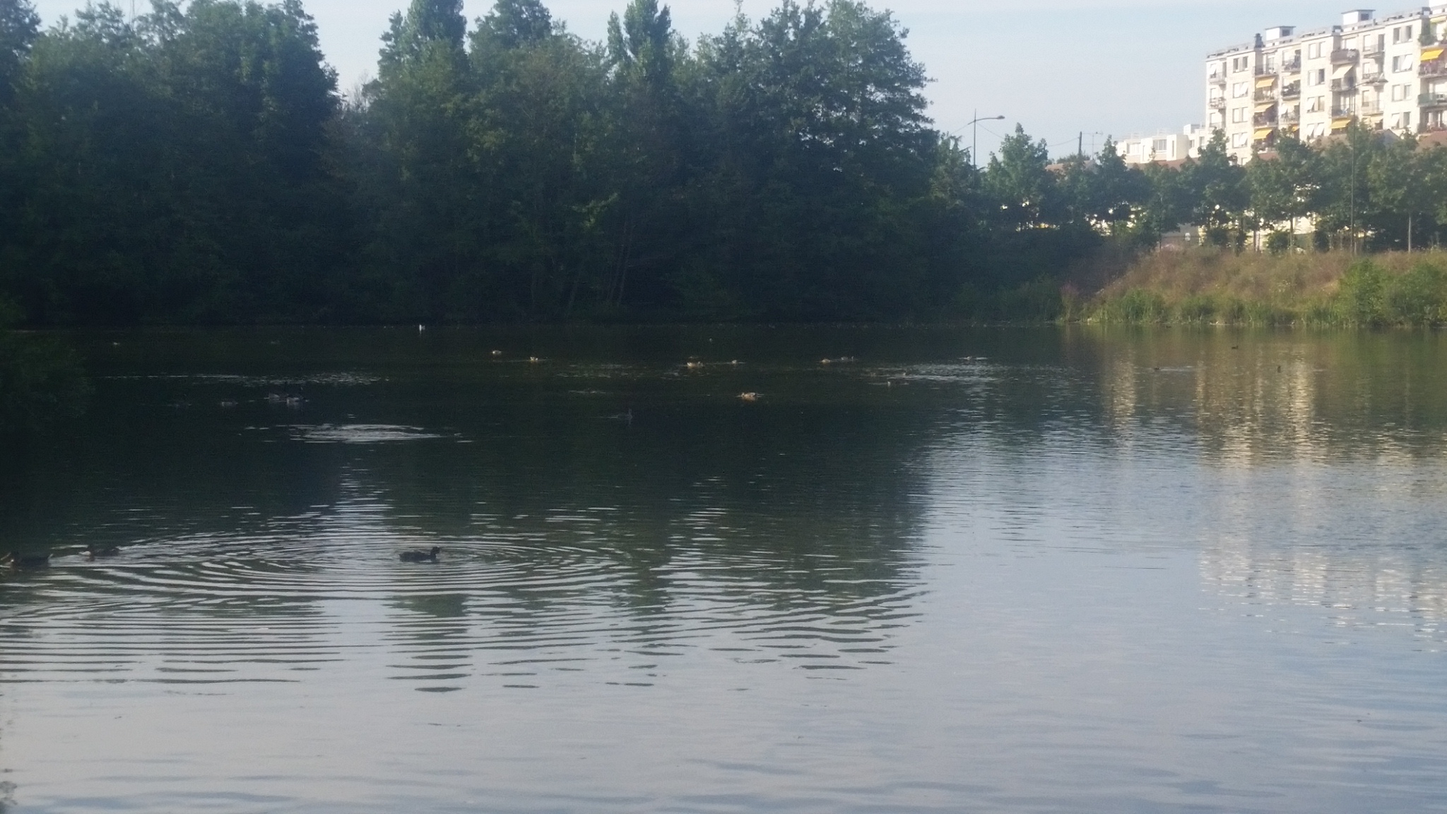 Photo n° 3 de l'avis de christophe.a fait le 14/08/2016 à 16:50