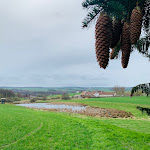 Photo n°2 de l'avis de Cornelia.r fait le 29/03/2023 à 11:51 sur le  Rittergut Positz à Oppurg