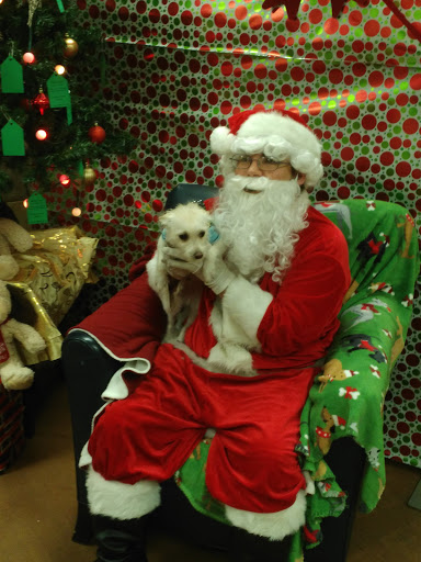 Pet Supply Store «PetSmart», reviews and photos, 1733 S Stapley Dr, Mesa, AZ 85204, USA