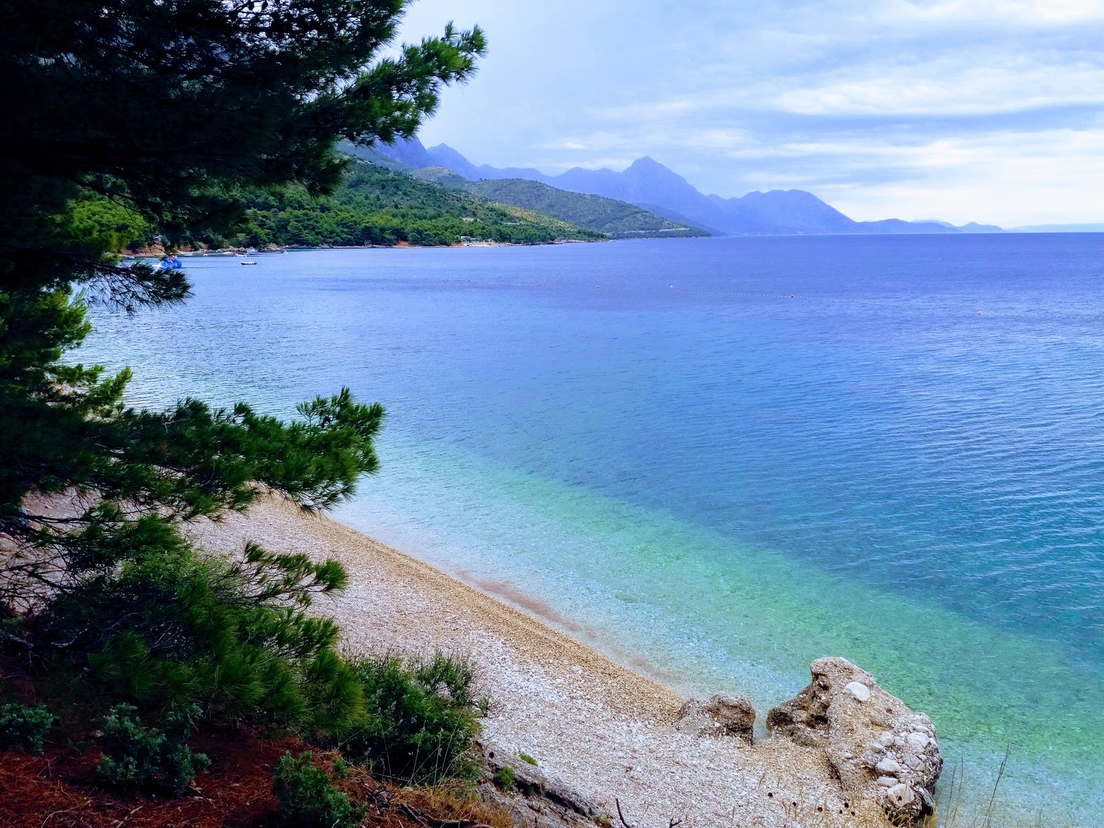 Foto af Dole beach med høj niveau af renlighed