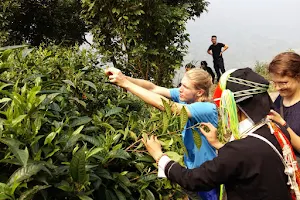 Tea House of Baiyue Tribes image