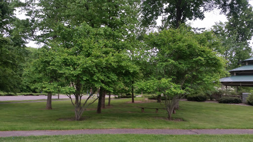 Park «Beech Woods Park», reviews and photos, 137 Beekman Rd, Kendall Park, NJ 08824, USA