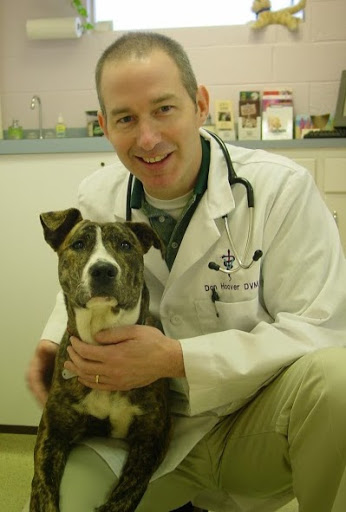 Veterinary Dental Clinic of North Carolina image