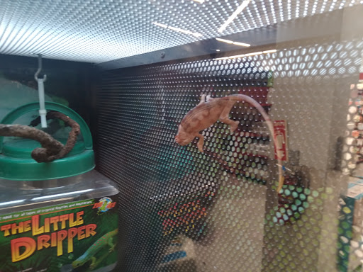 Pet Supply Store «Petco Animal Supplies», reviews and photos, 3444 S Mooney Blvd, Visalia, CA 93277, USA