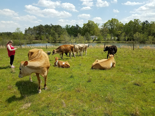 Bull City Farm